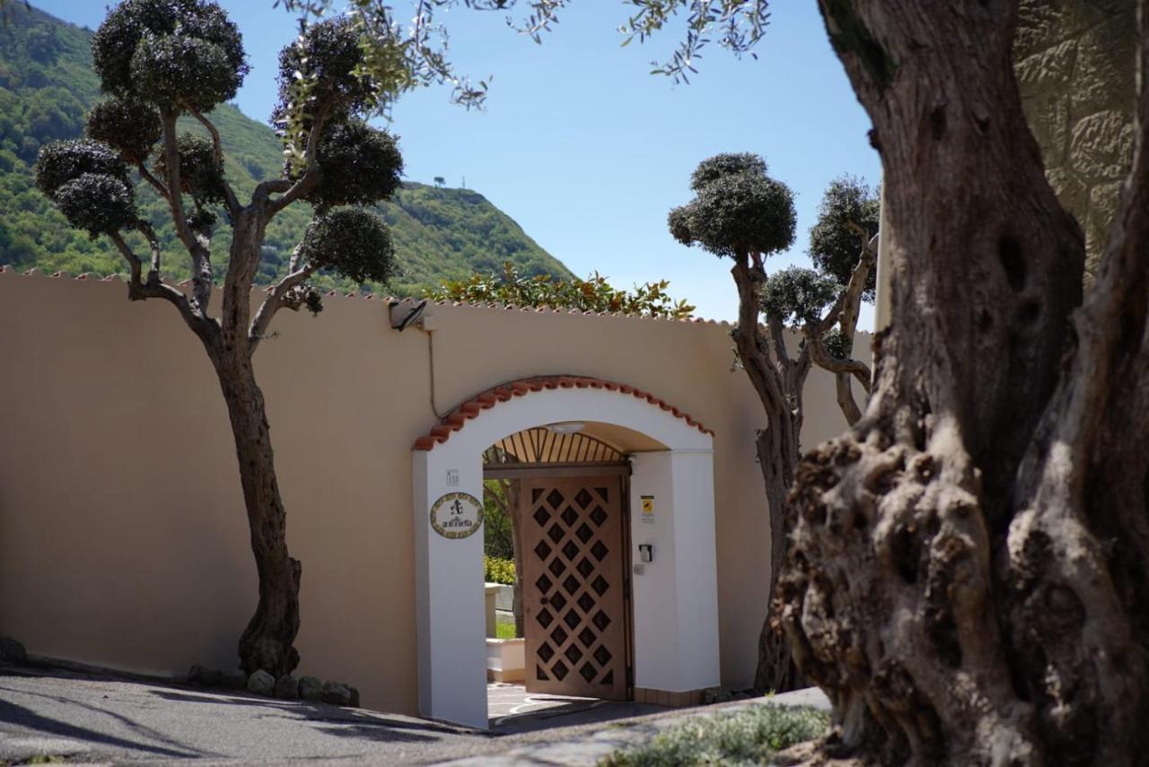 Villa Antonietta Ίσκια Εξωτερικό φωτογραφία