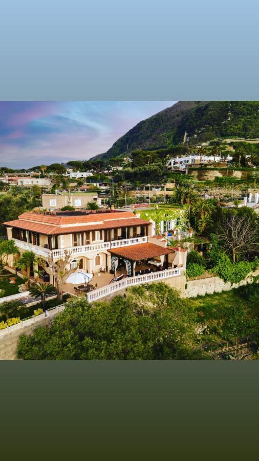Villa Antonietta Ίσκια Εξωτερικό φωτογραφία