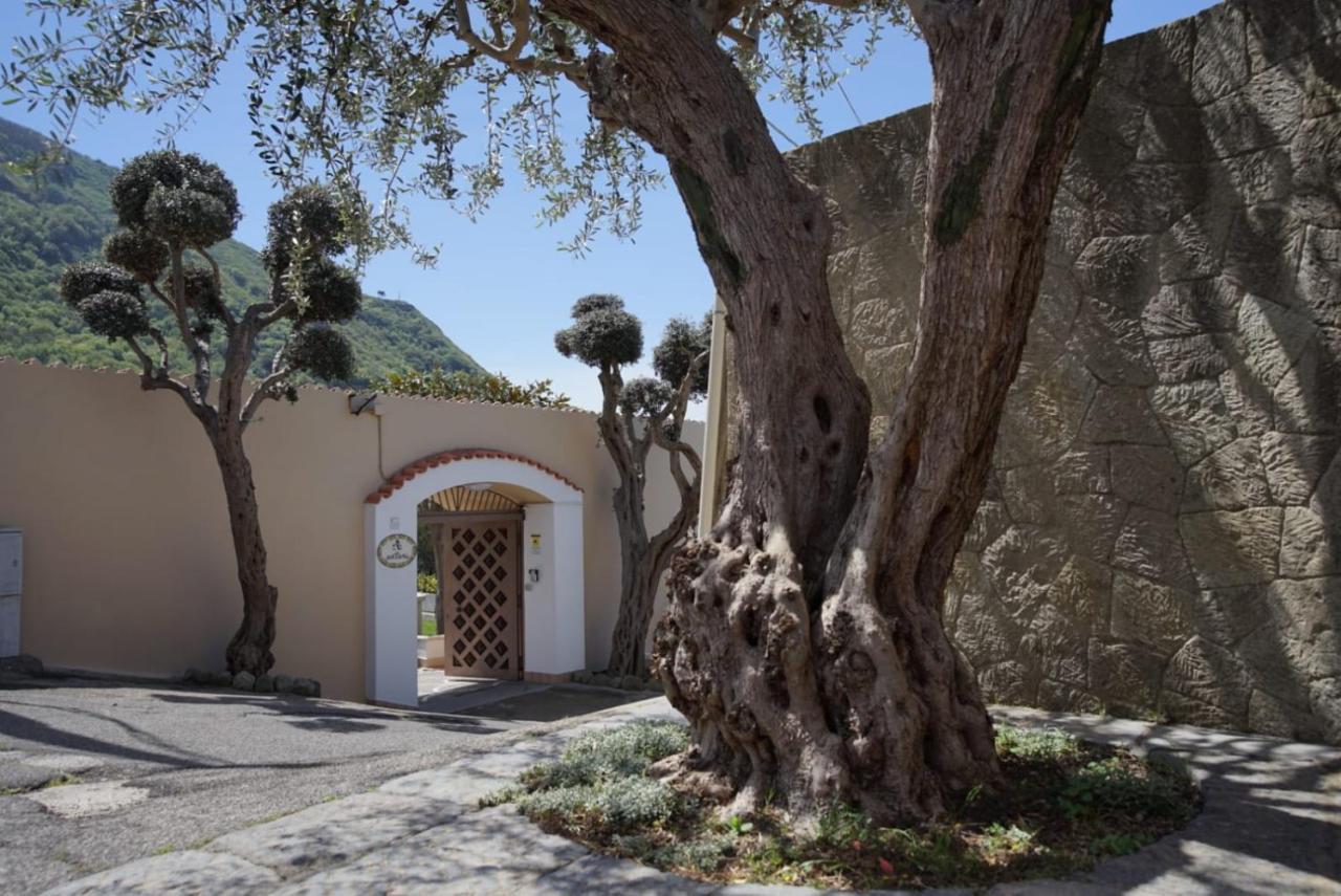 Villa Antonietta Ίσκια Εξωτερικό φωτογραφία