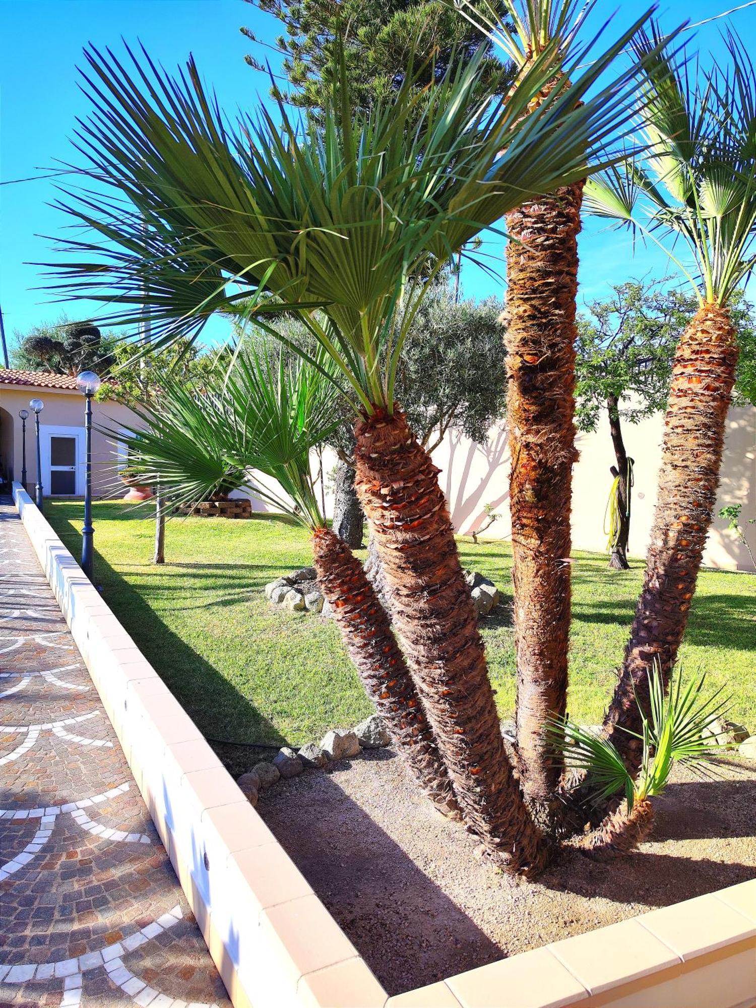 Villa Antonietta Ίσκια Εξωτερικό φωτογραφία